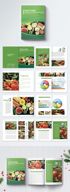 果蔬产品画册整套